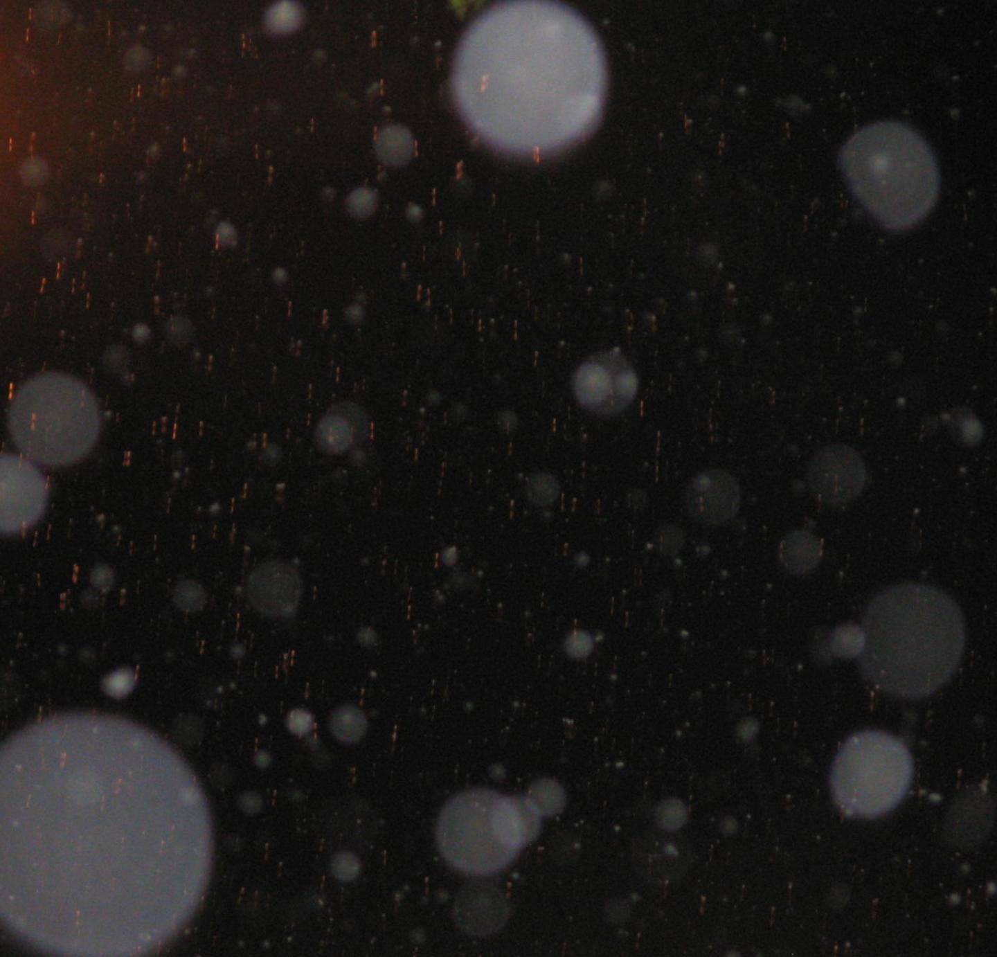 Snowflake expands its technical and mainstream AI platforms