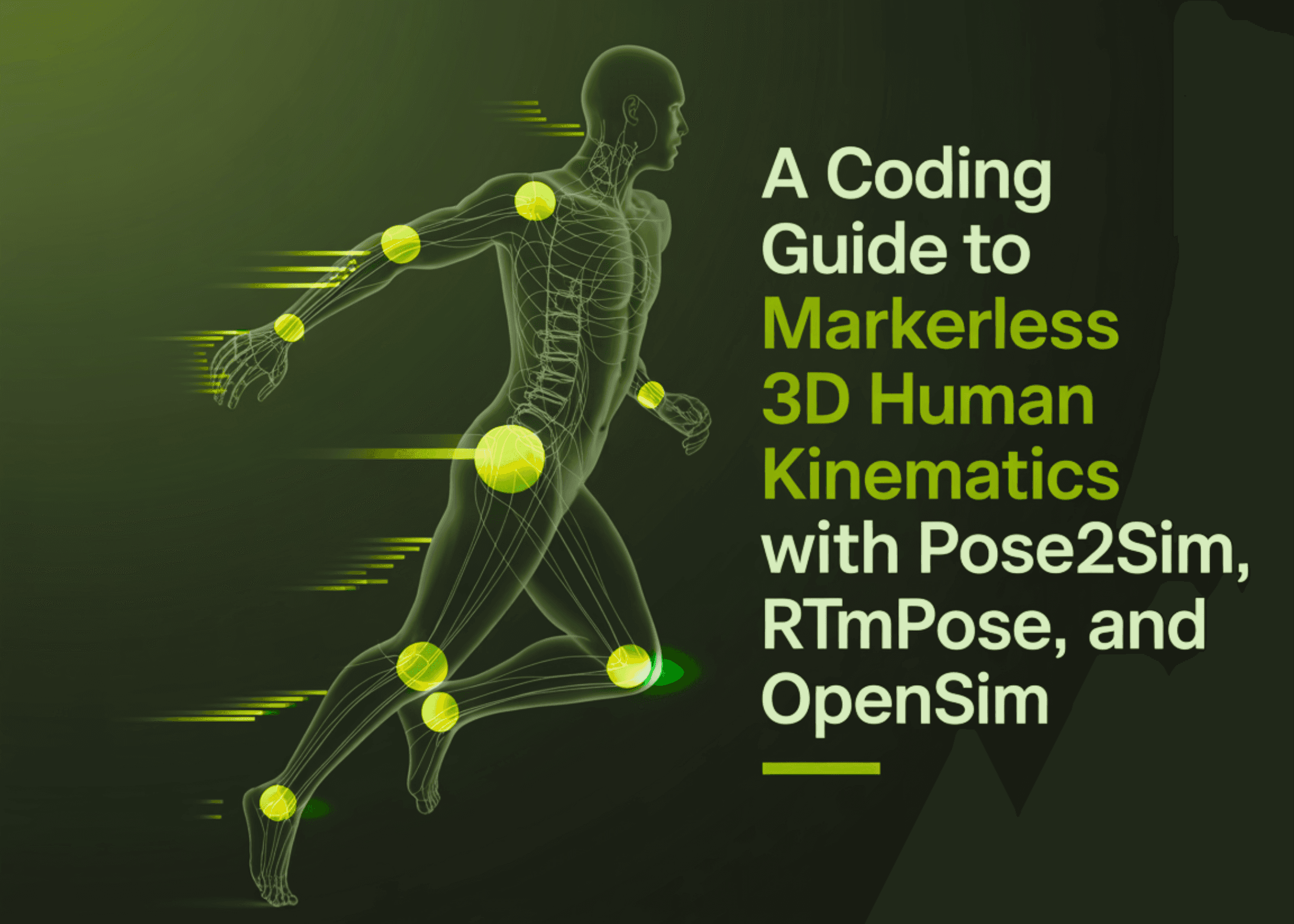 A Coding Guide to Markerless 3D Human Kinematics with Pose2Sim, RTMPose, and OpenSim
