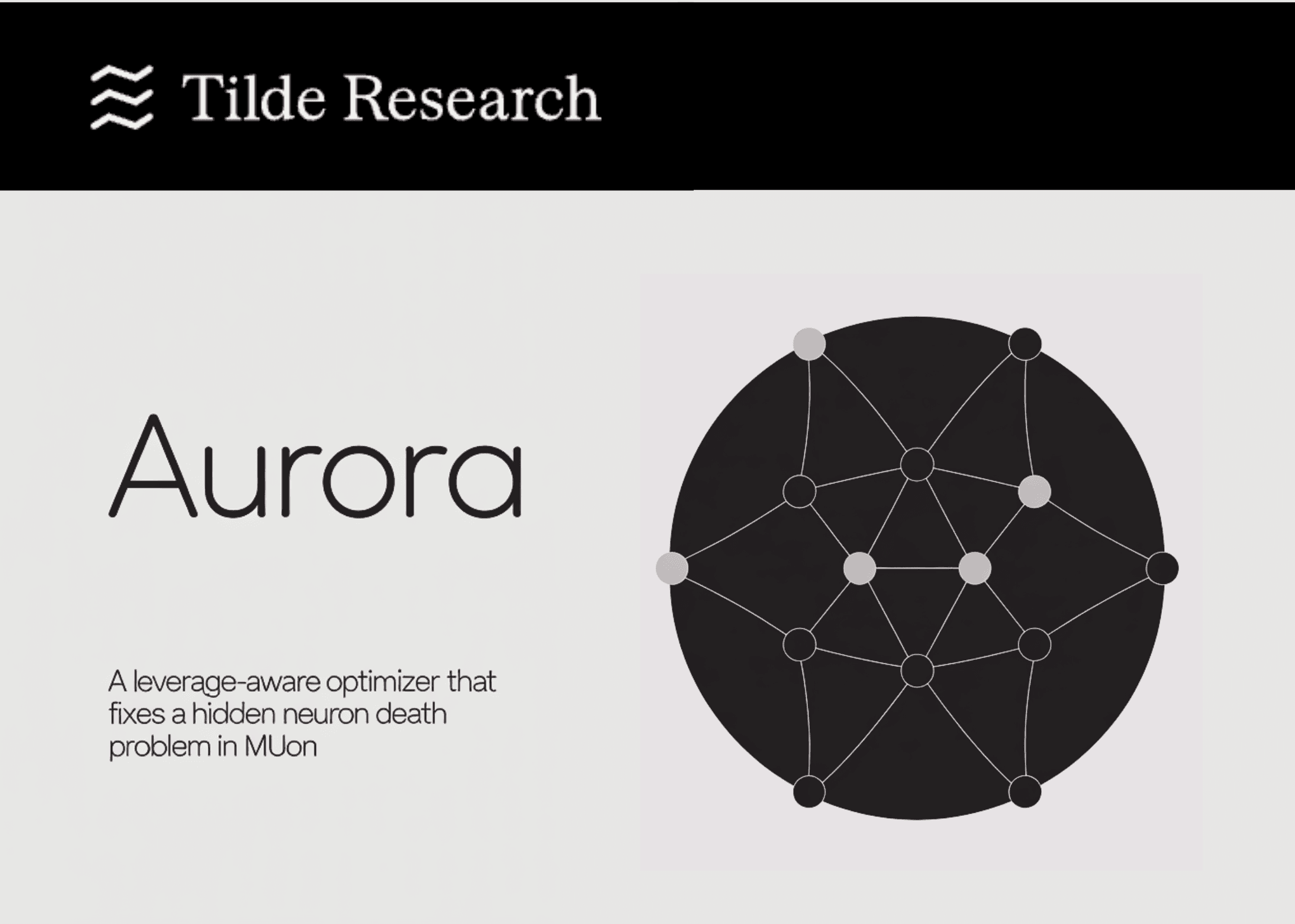 Tilde Research Introduces Aurora: A Leverage-Aware Optimizer That Fixes a Hidden Neuron Death Problem in Muon